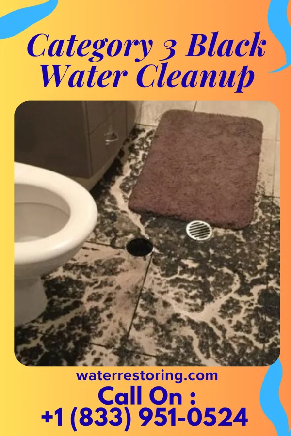 Category 3 Black Water Cleanup in Rhame, ND