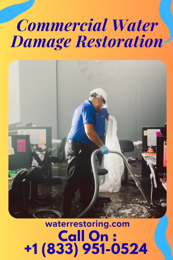 Commercial Water Damage Restoration in Rhame, ND