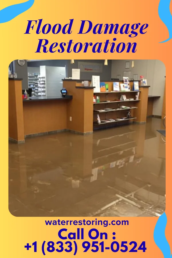 Flood Damage Restoration in Rhame, ND