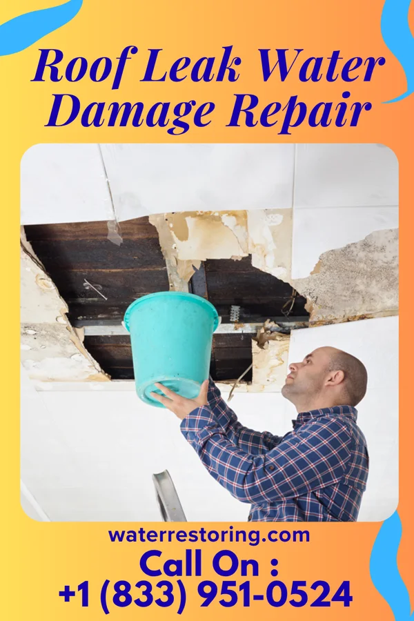 Roof Leak Water Damage Repair in Rhame, ND