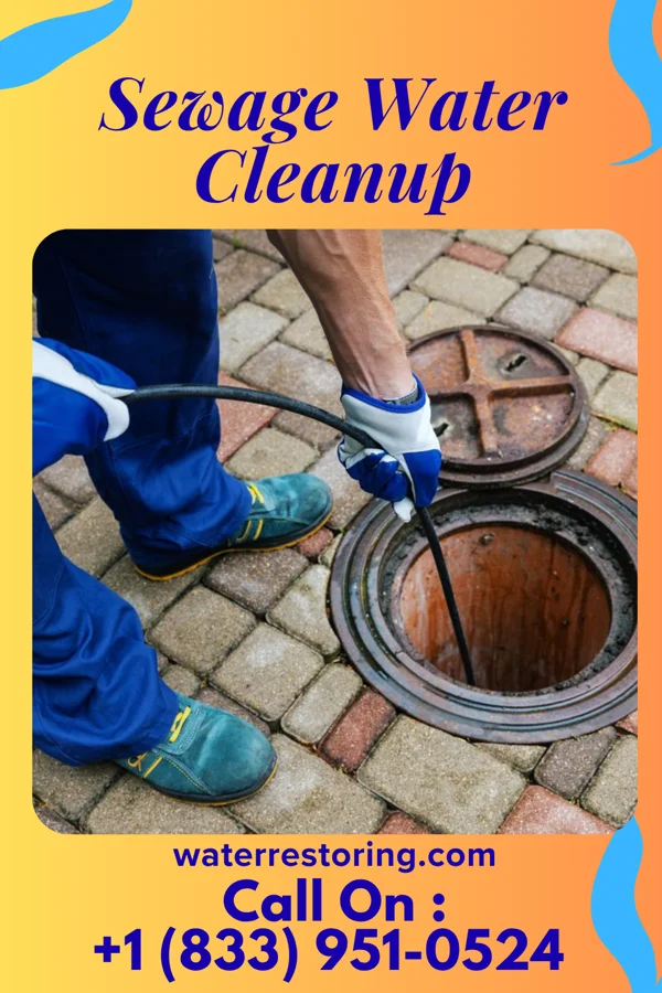 Sewage Water Cleanup in Rhame, ND